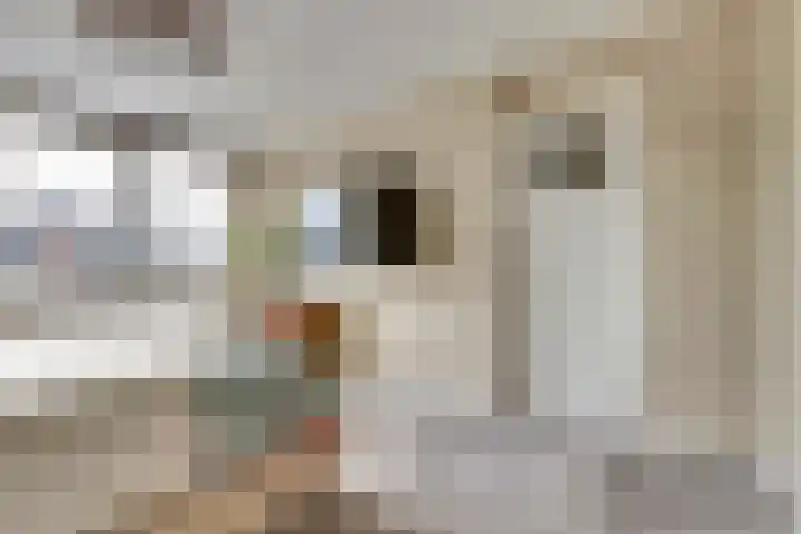 Populierenstraat 19 's-Gravenzande thumbnail 12