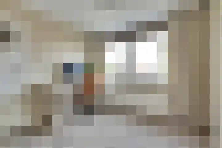 Populierenstraat 19 's-Gravenzande thumbnail 13