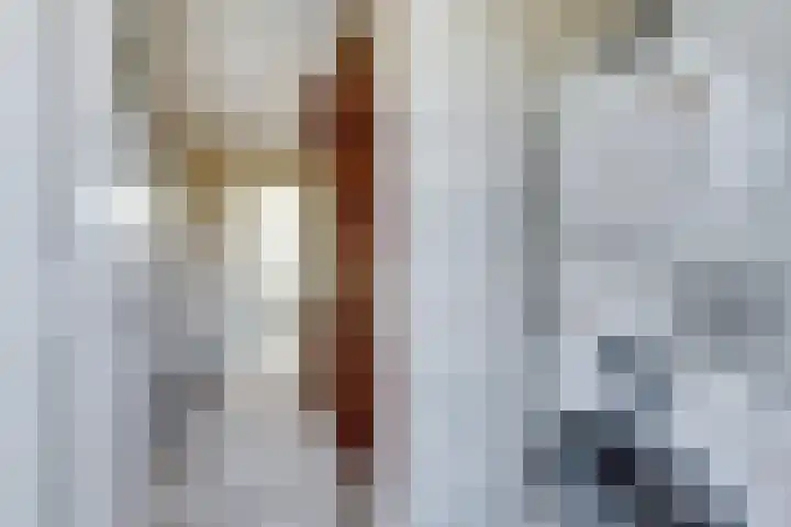 Populierenstraat 19 's-Gravenzande thumbnail 15