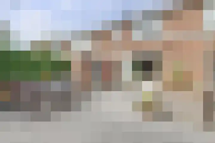 Populierenstraat 19 's-Gravenzande thumbnail 22