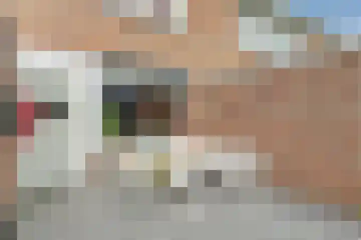 Populierenstraat 19 's-Gravenzande thumbnail 24