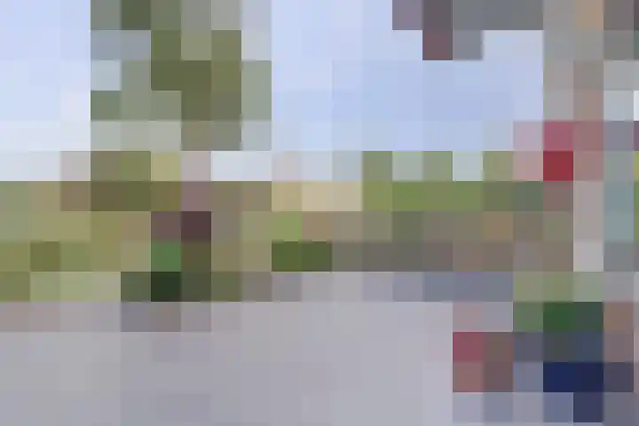 Populierenstraat 19 's-Gravenzande thumbnail 26