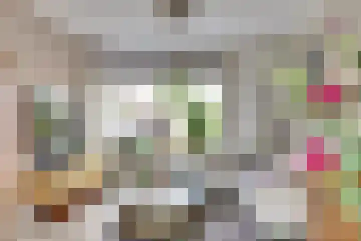 Populierenstraat 19 's-Gravenzande thumbnail 4