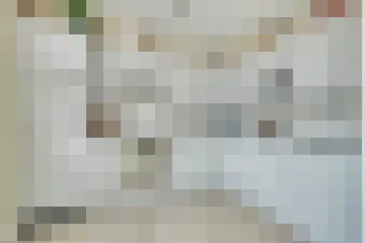 Populierenstraat 19 's-Gravenzande thumbnail 8