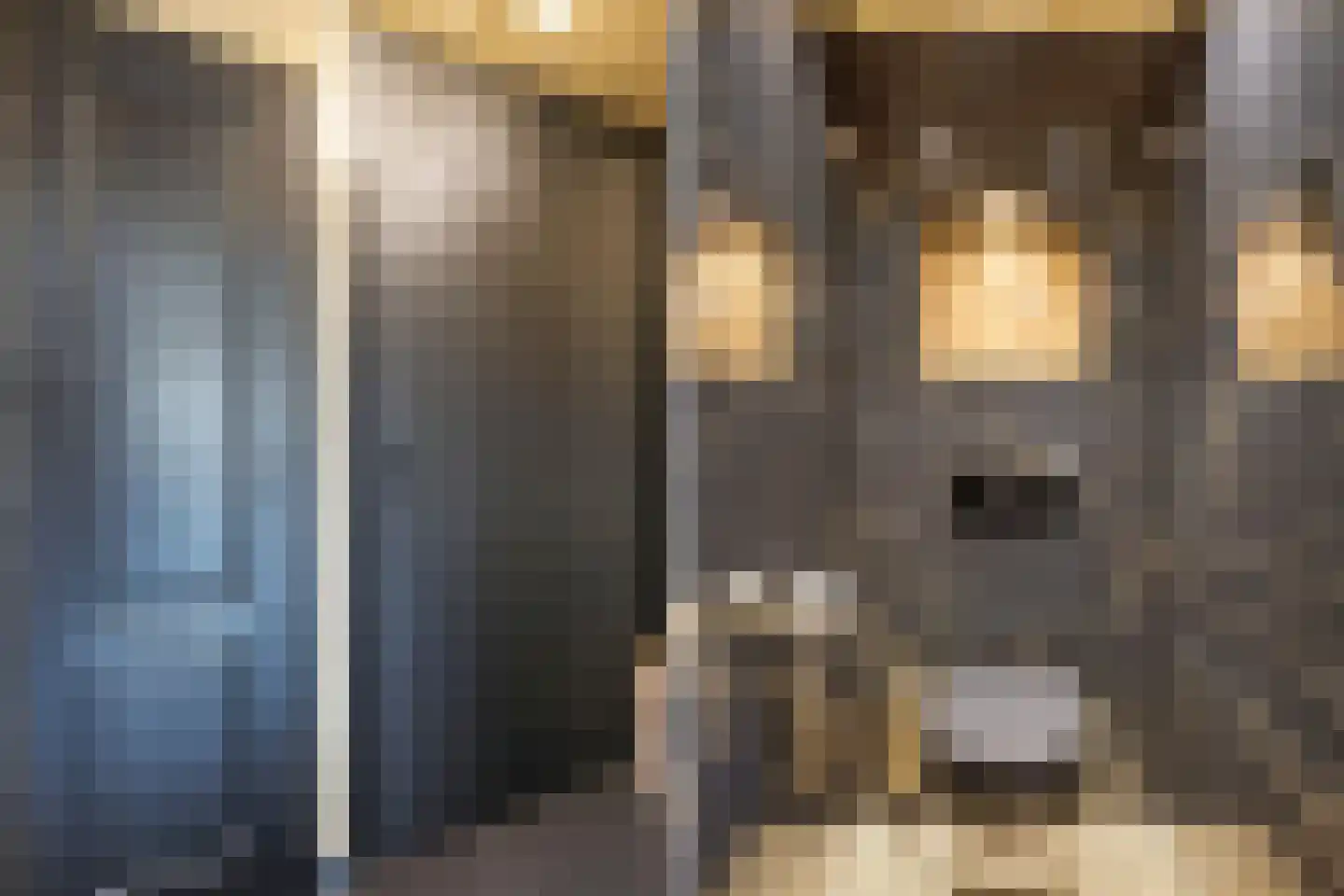 Populierenstraat 22 Fijnaart thumbnail 10