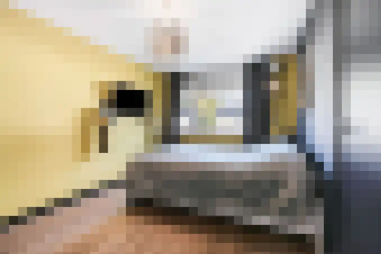 Populierenstraat 22 Fijnaart thumbnail 24
