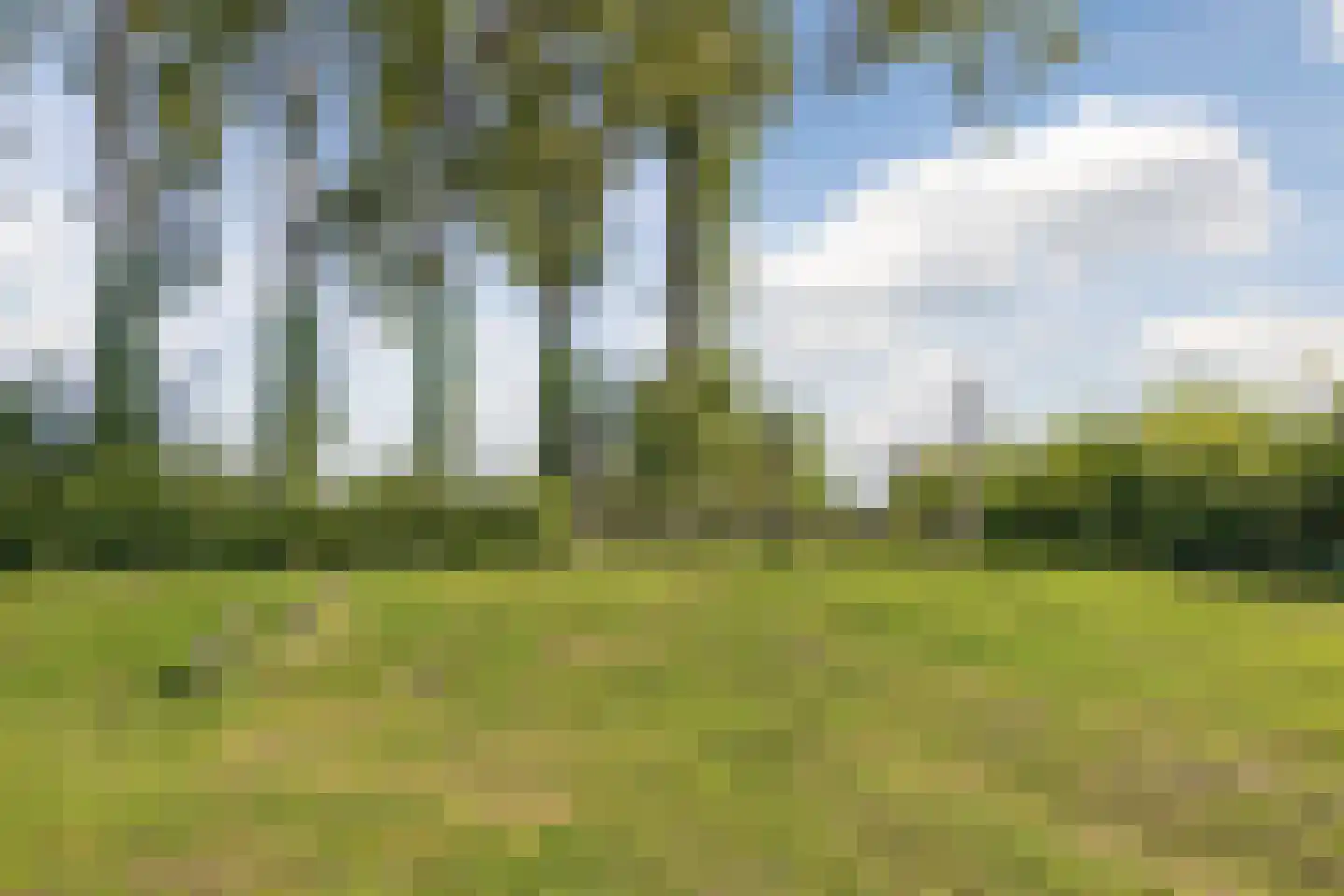 Populierenstraat 22 Fijnaart thumbnail 42