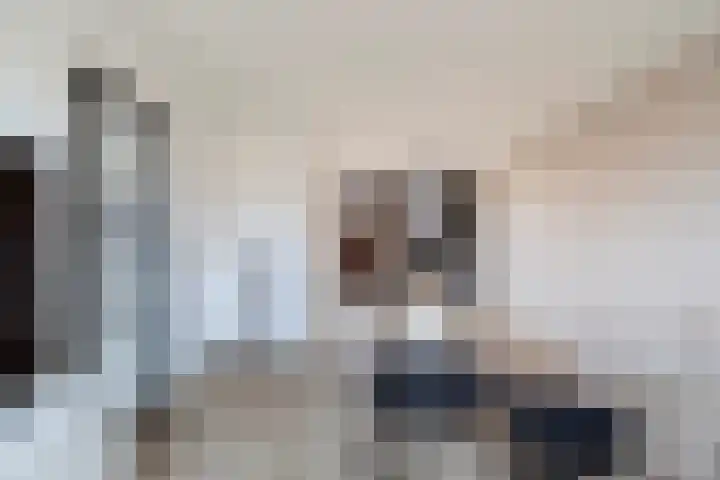 Populierenstraat 23 Spijkenisse thumbnail 10