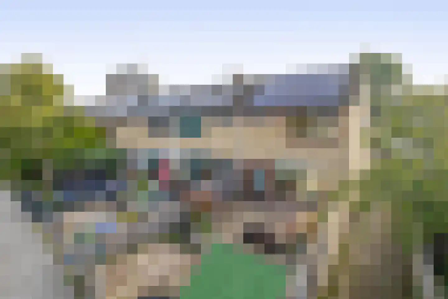 Populierenstraat 23 Spijkenisse thumbnail 10
