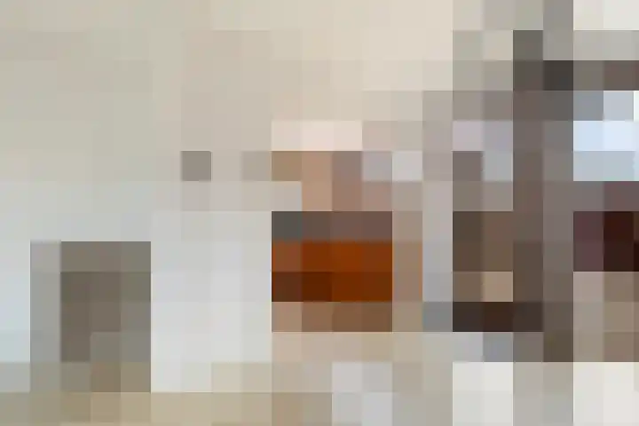 Populierenstraat 23 Spijkenisse thumbnail 12