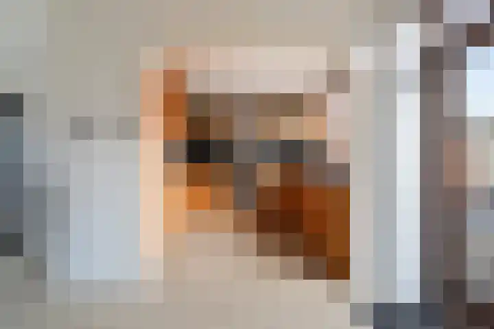 Populierenstraat 23 Spijkenisse thumbnail 13