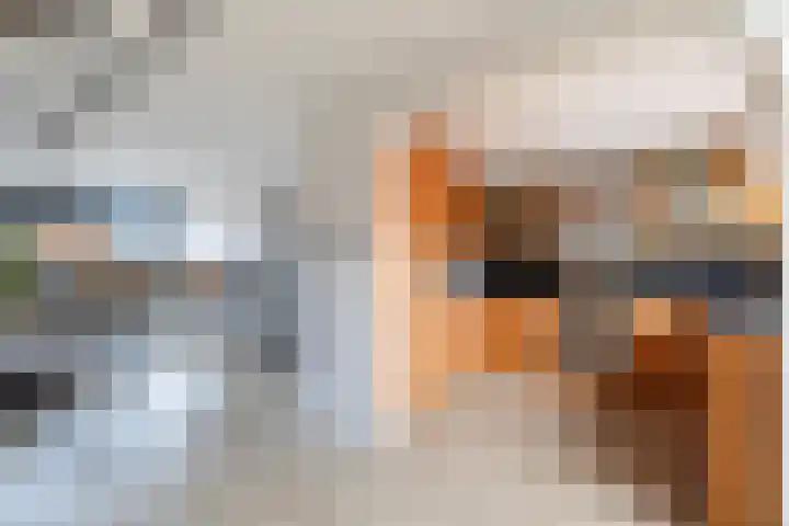 Populierenstraat 23 Spijkenisse thumbnail 14