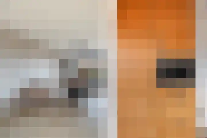 Populierenstraat 23 Spijkenisse thumbnail 15