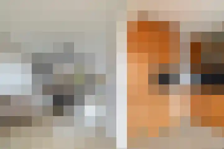 Populierenstraat 23 Spijkenisse thumbnail 16