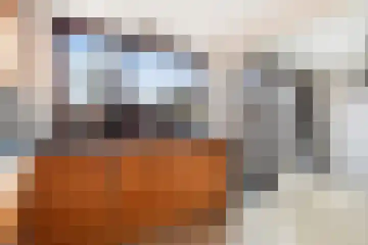 Populierenstraat 23 Spijkenisse thumbnail 18
