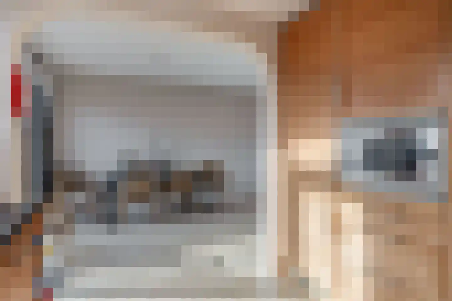 Populierenstraat 23 Spijkenisse thumbnail 20