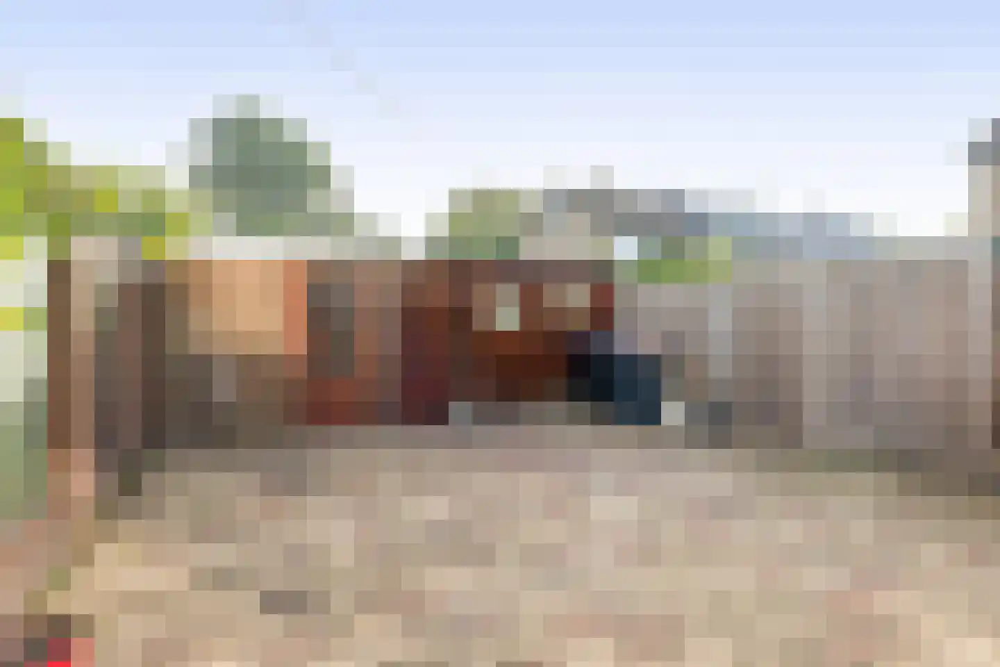 Populierenstraat 23 Spijkenisse thumbnail 21