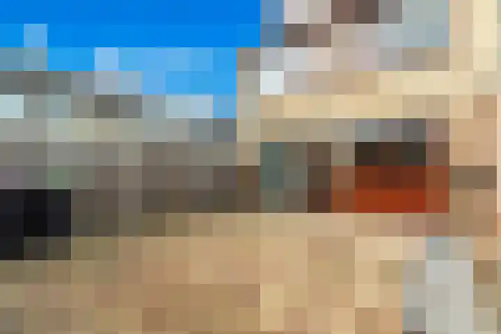 Populierenstraat 23 Spijkenisse thumbnail 21