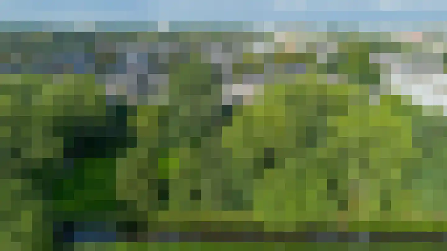 Populierenstraat 23 Spijkenisse thumbnail 38