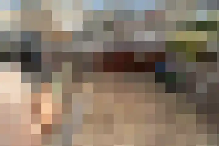 Populierenstraat 23 Spijkenisse thumbnail 42