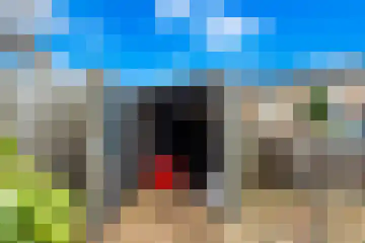 Populierenstraat 23 Spijkenisse thumbnail 43