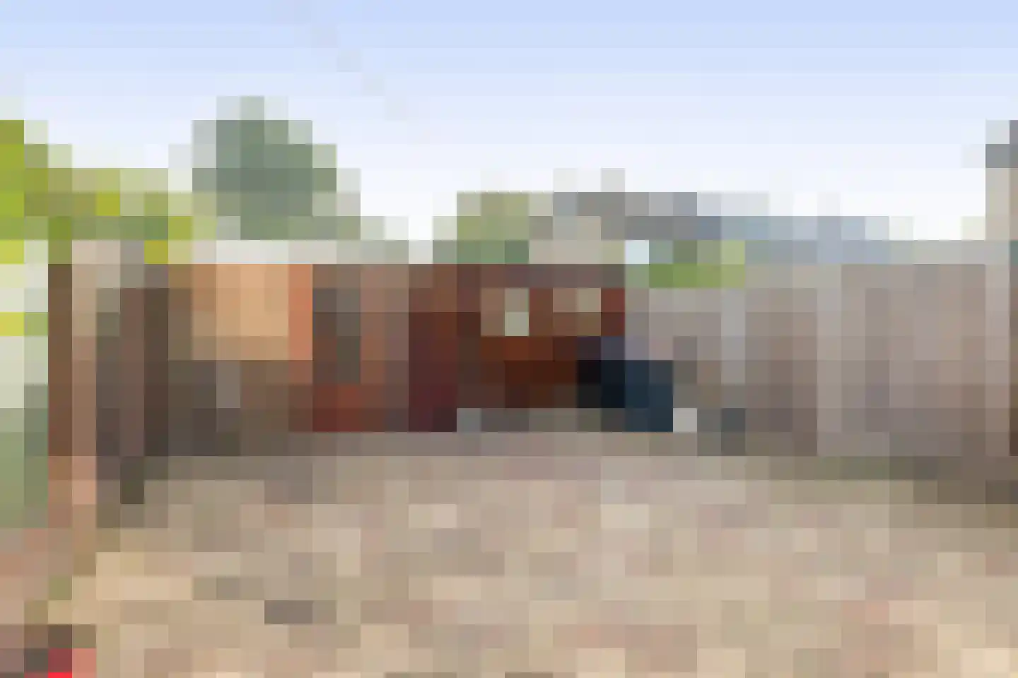 Populierenstraat 23 Spijkenisse thumbnail 5