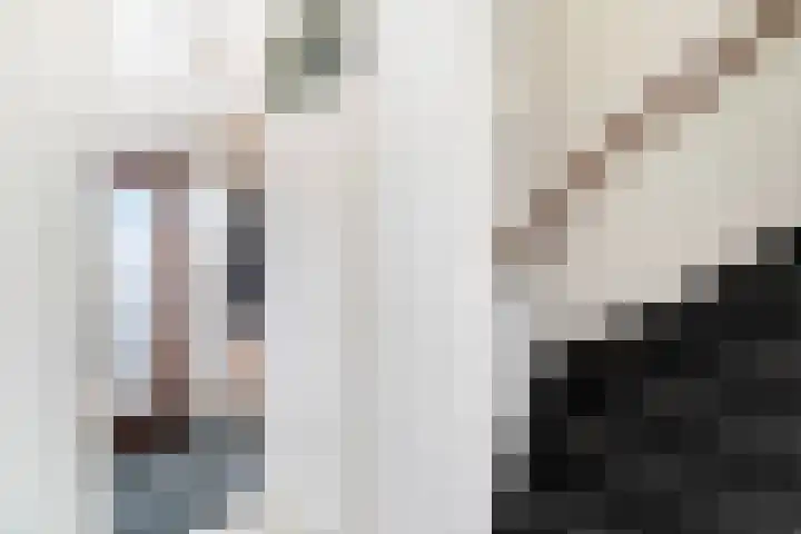 Populierenstraat 23 Spijkenisse thumbnail 5