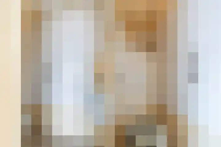 Populierenstraat 23 Spijkenisse thumbnail 6