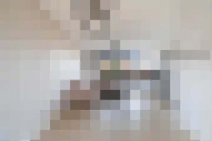 Populierenstraat 23 Spijkenisse thumbnail 8