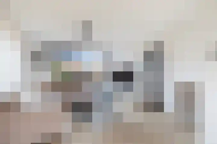 Populierenstraat 23 Spijkenisse thumbnail 9