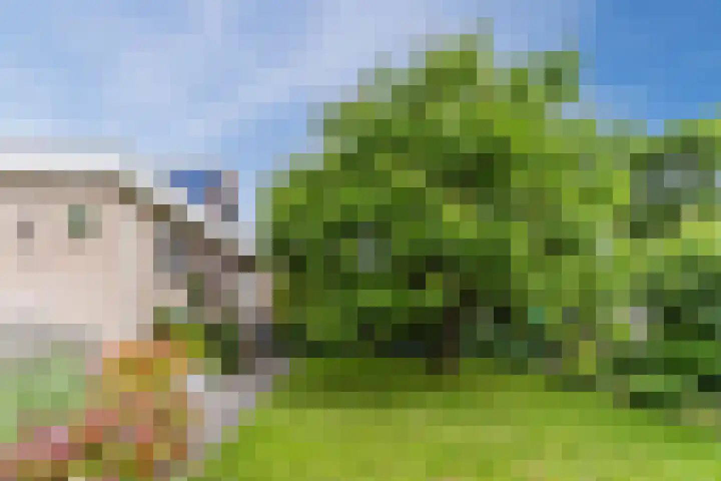 Populierenstraat 28 Winkel thumbnail 43