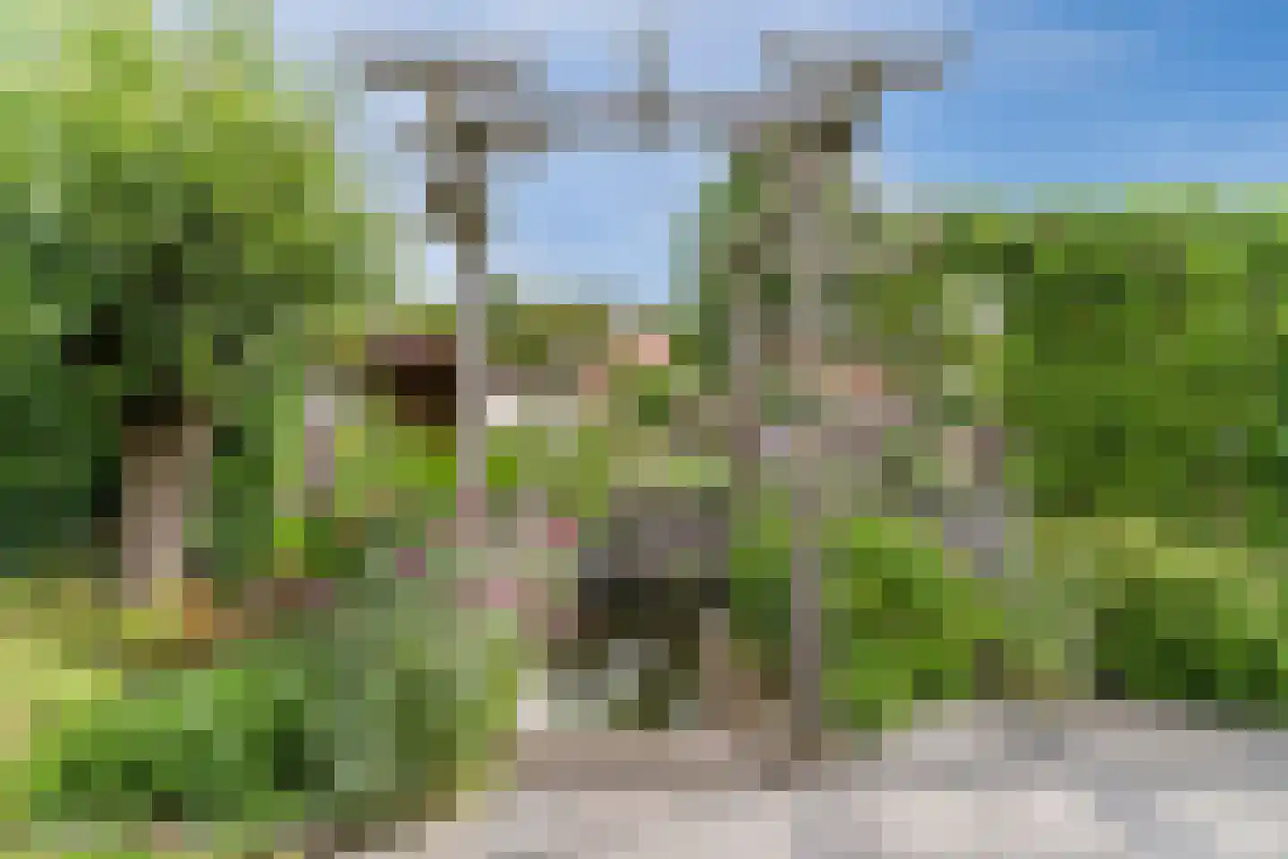 Populierenstraat 28 Winkel thumbnail 45