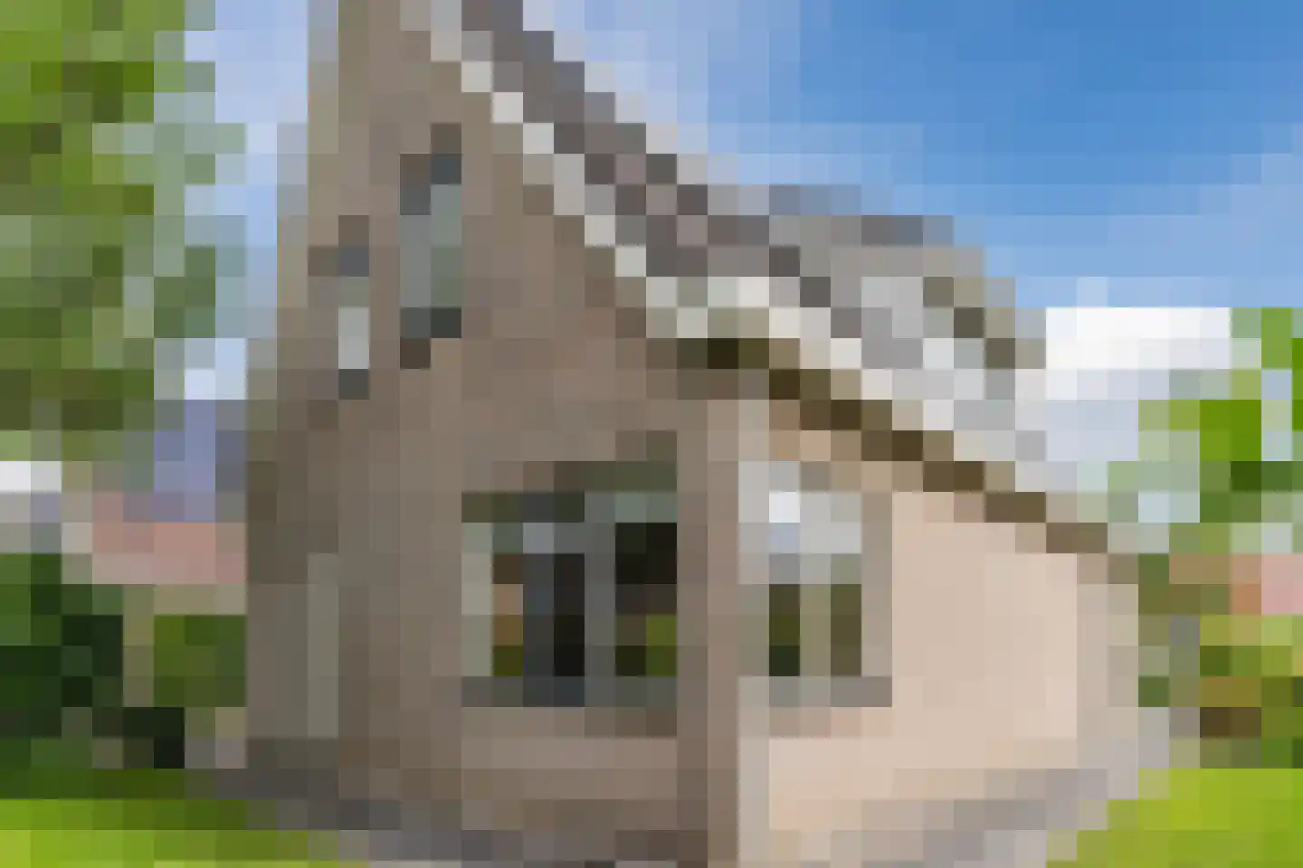 Populierenstraat 28 Winkel thumbnail 50