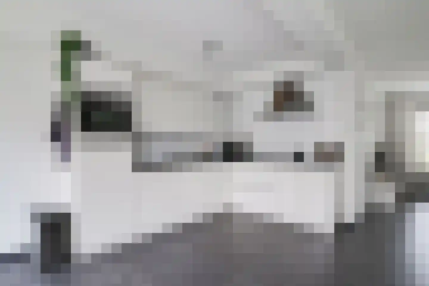 Populierenstraat 3 Borculo thumbnail 15
