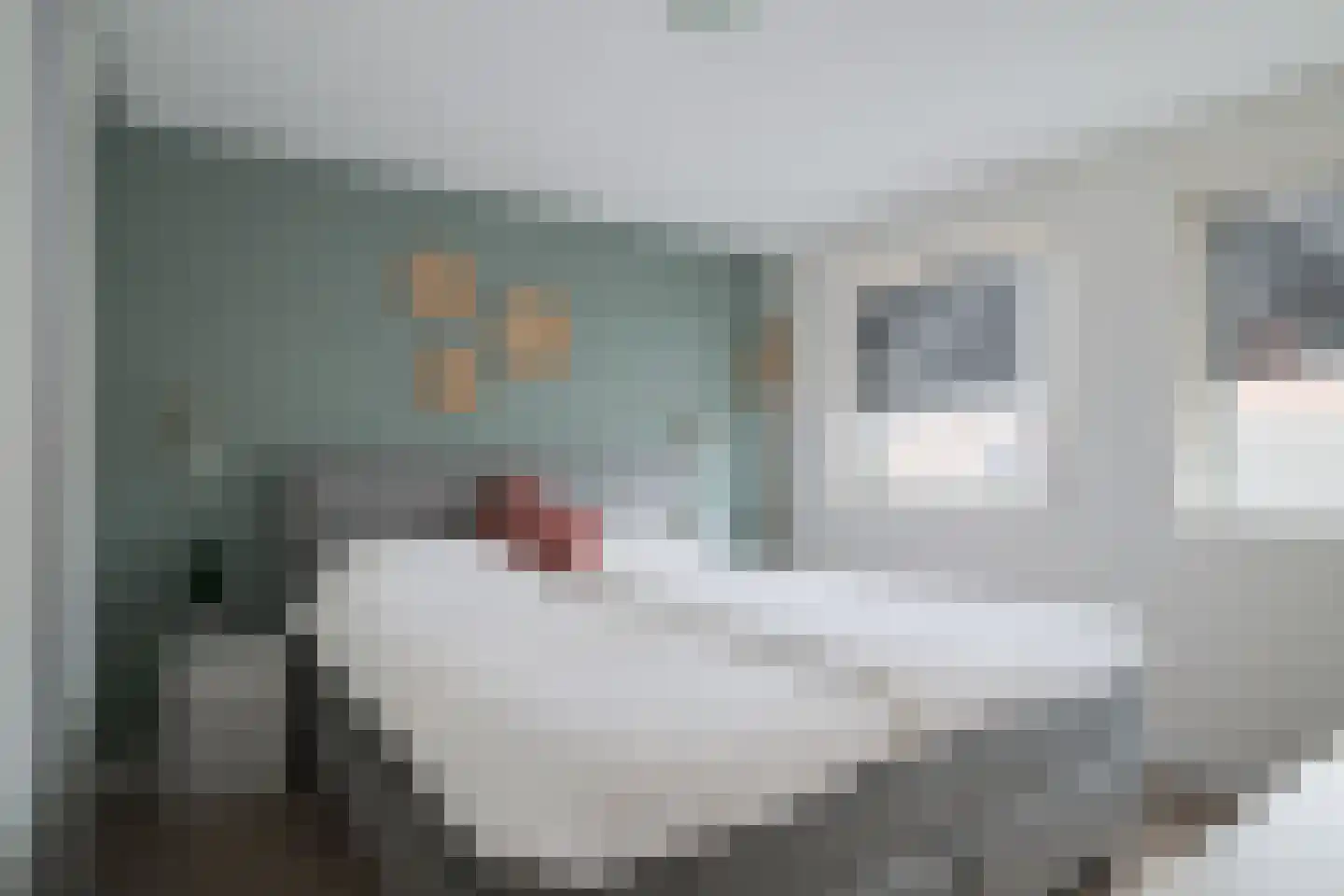 Populierenstraat 3 Borculo thumbnail 23