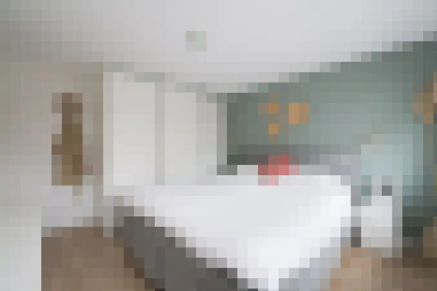 Populierenstraat 3 Borculo thumbnail 24