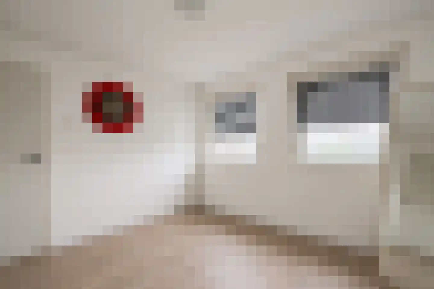 Populierenstraat 3 Borculo thumbnail 26