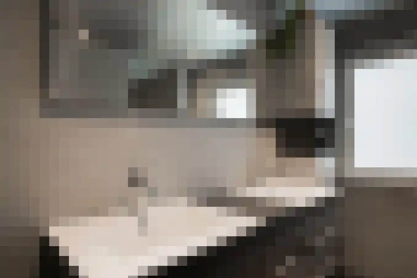 Populierenstraat 3 Borculo thumbnail 30