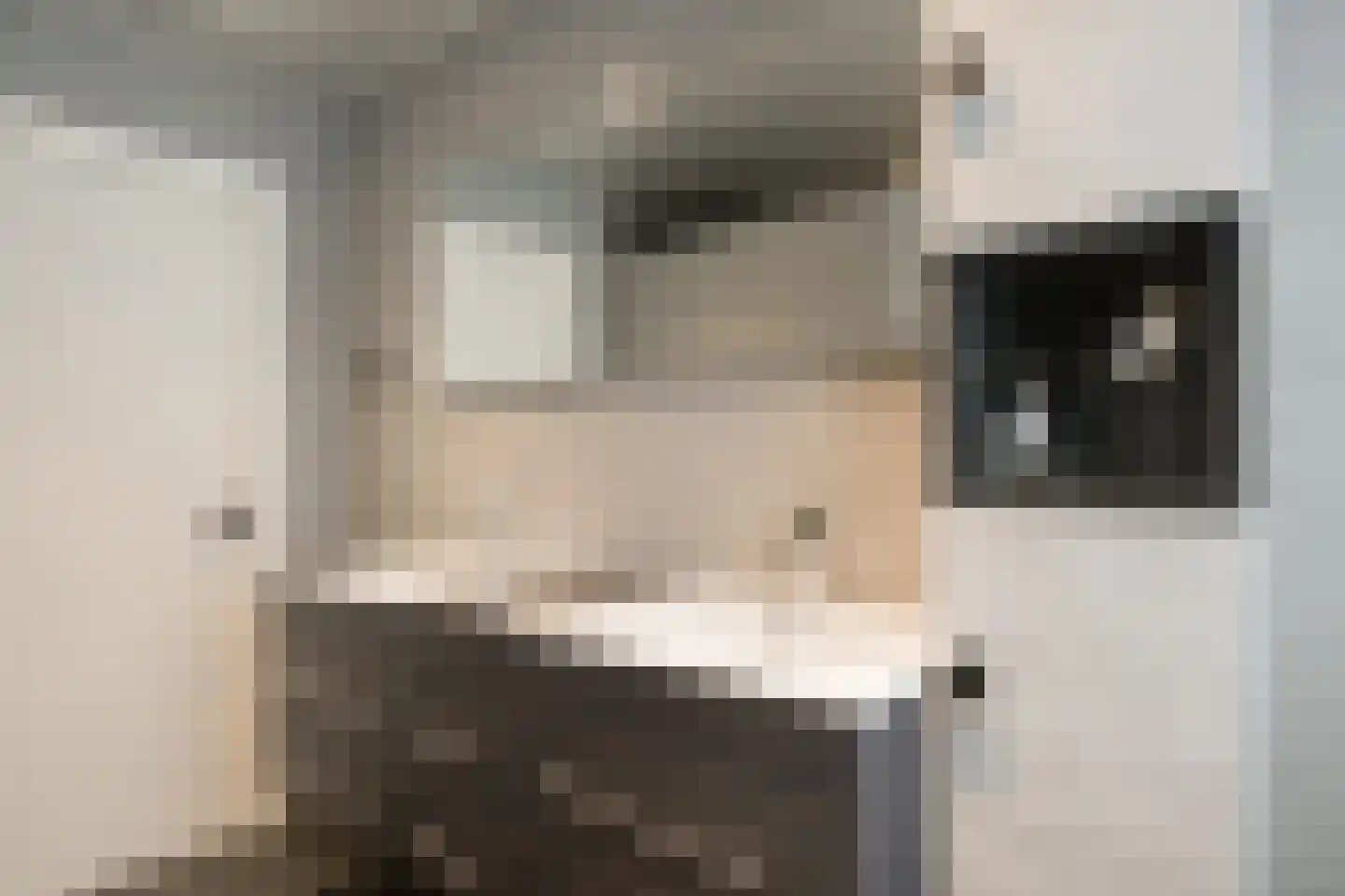 Populierenstraat 3 Borculo thumbnail 31