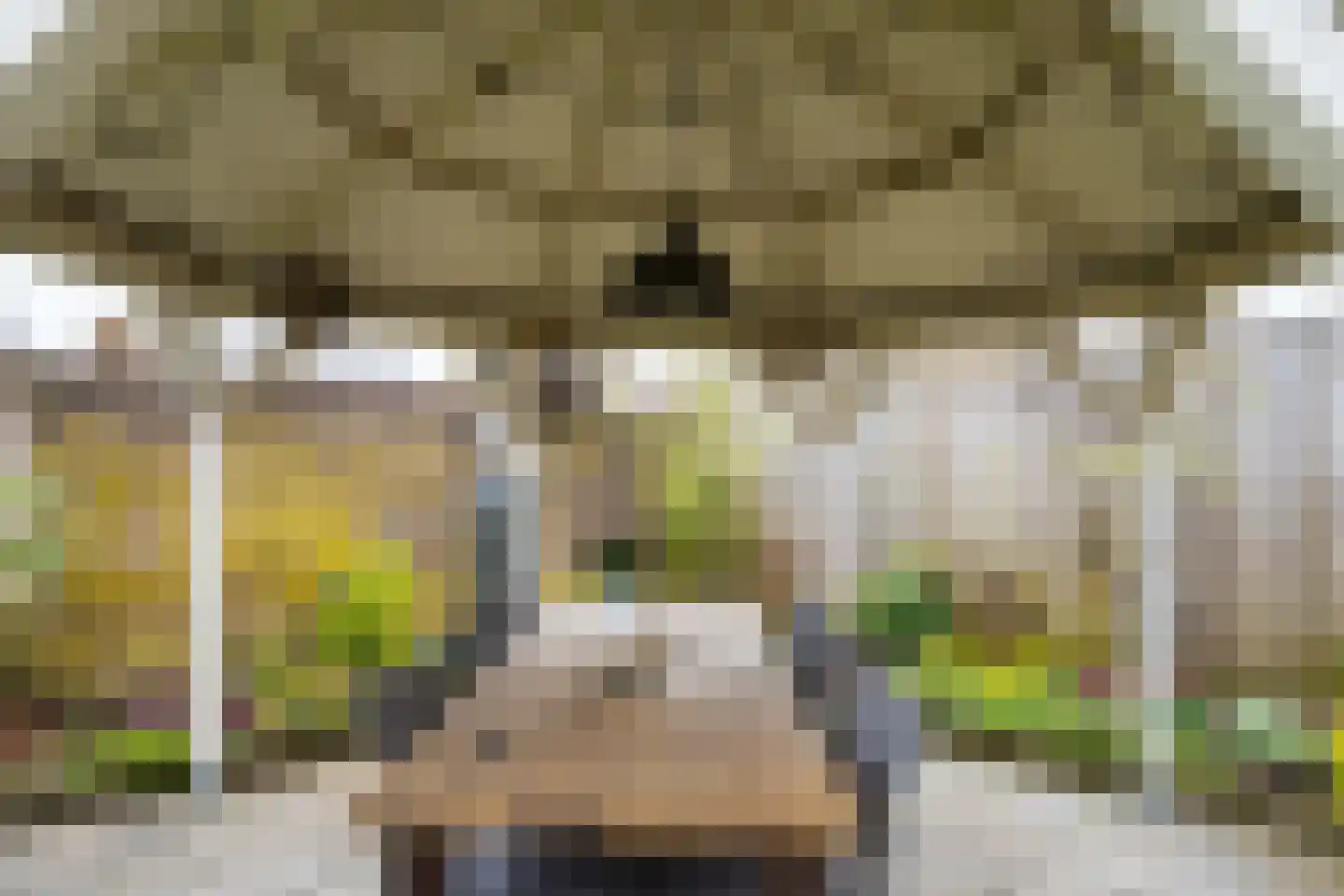 Populierenstraat 3 Borculo thumbnail 41