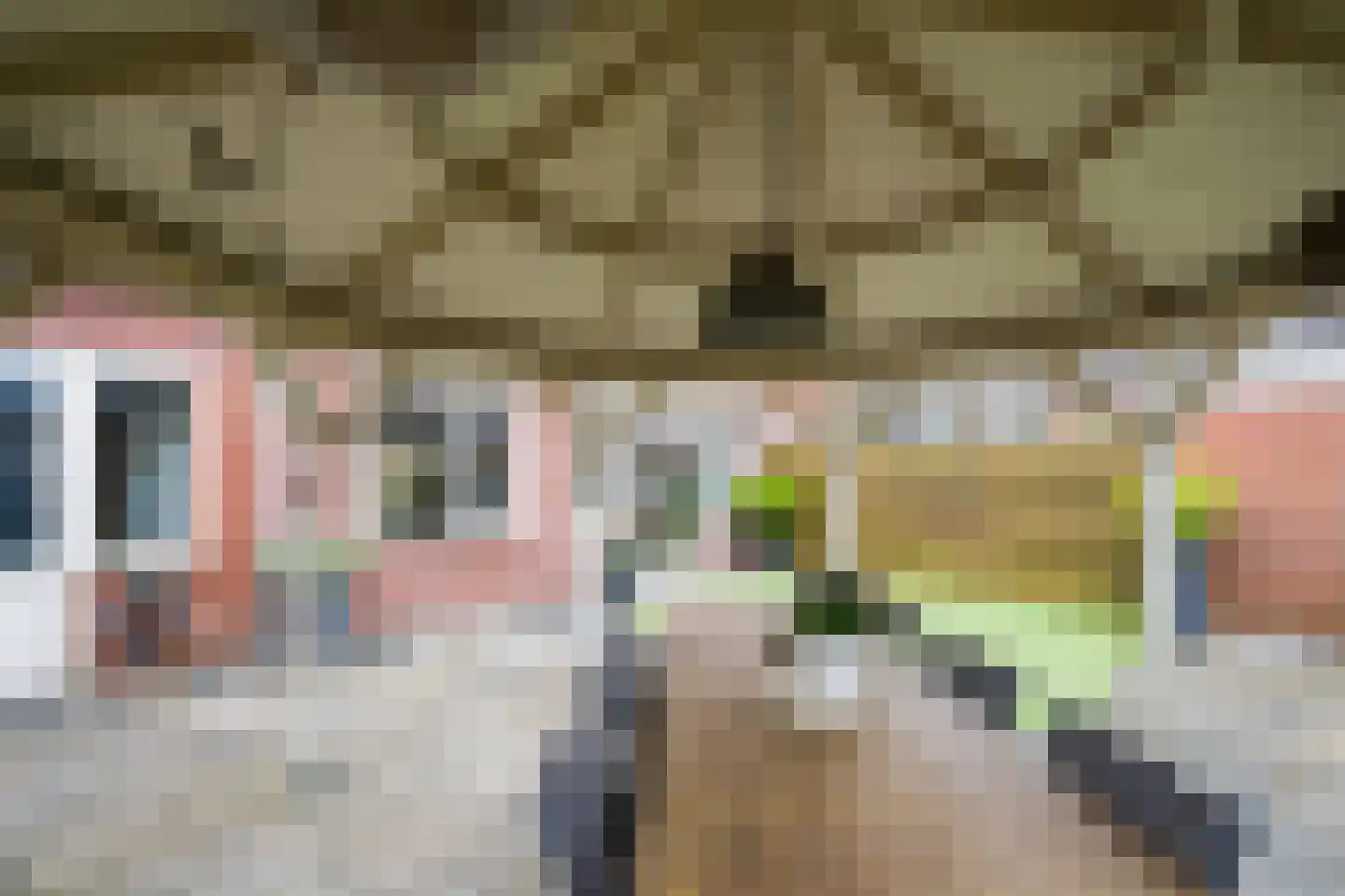 Populierenstraat 3 Borculo thumbnail 42