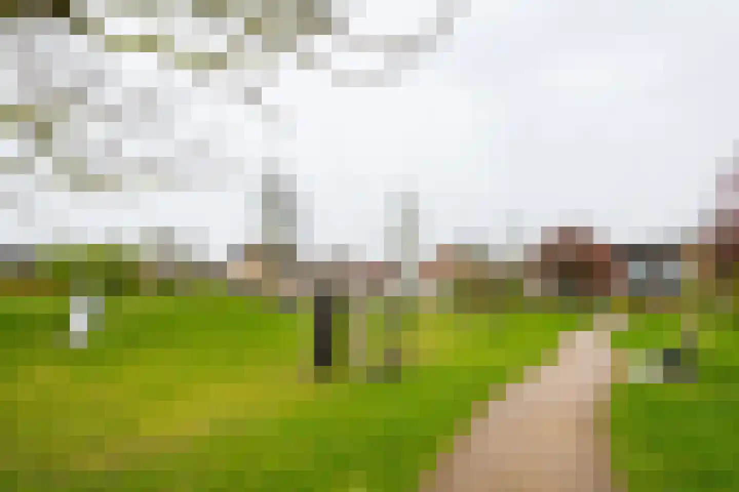 Populierenstraat 3 Borculo thumbnail 51