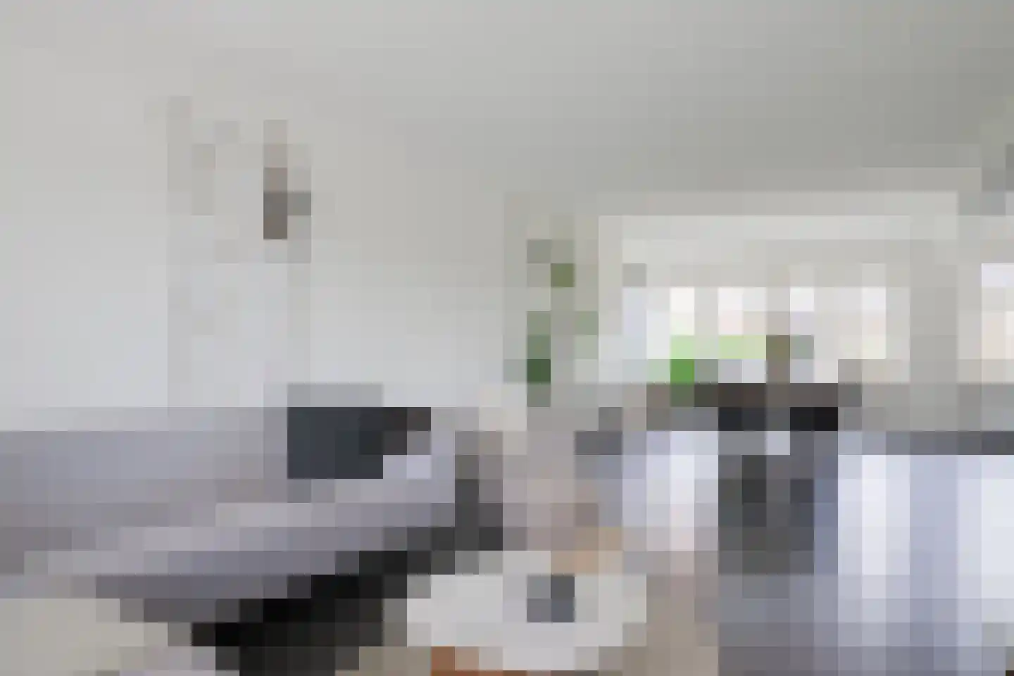 Populierenstraat 3 Borculo thumbnail 9
