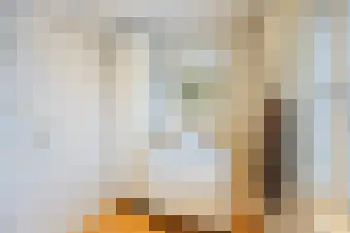 Populierenstraat 3 Boven-Leeuwen thumbnail 31