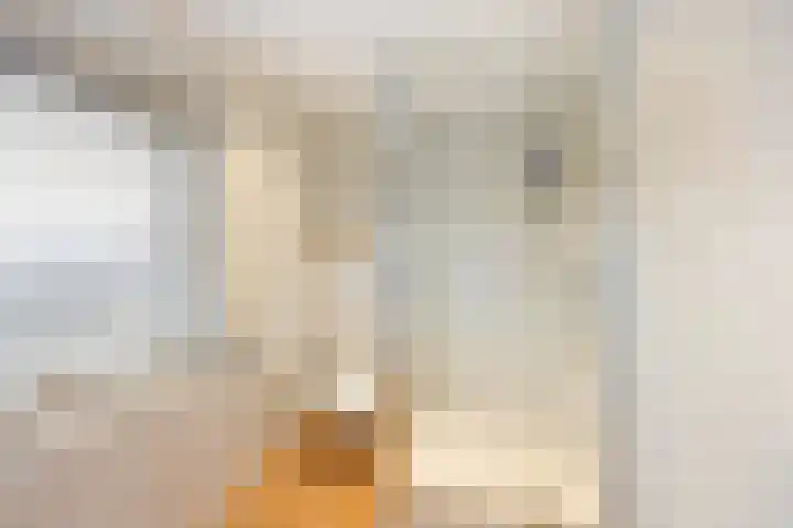 Populierenstraat 3 Boven-Leeuwen thumbnail 33