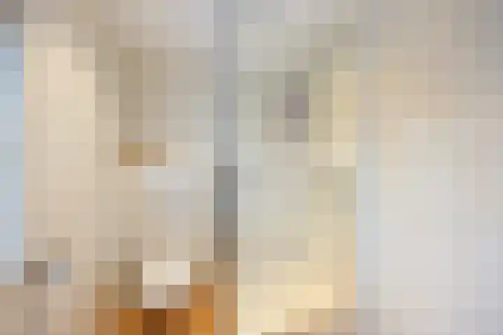 Populierenstraat 3 Boven-Leeuwen thumbnail 34