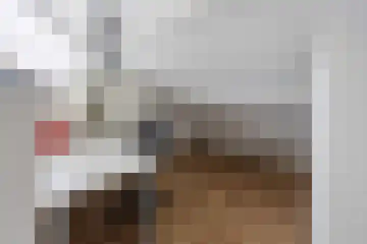 Populierenstraat 3 Boven-Leeuwen thumbnail 41