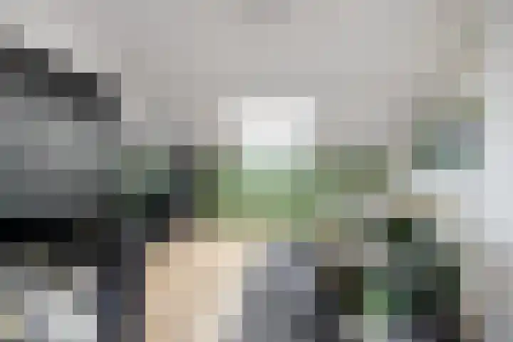 Populierenstraat 3 Boven-Leeuwen thumbnail 46