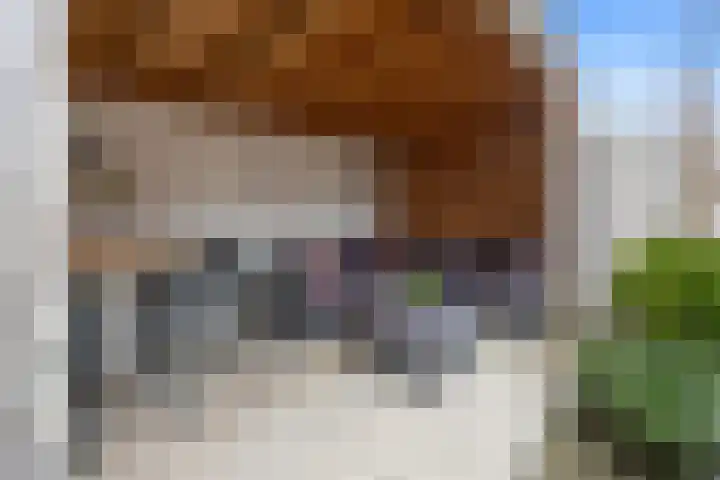 Populierenstraat 3 Boven-Leeuwen thumbnail 54