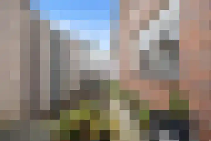 Populierenstraat 3 Boven-Leeuwen thumbnail 60